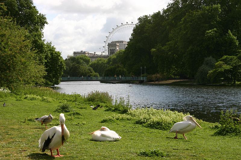 London (151).JPG
